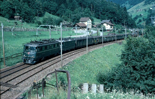 {short description of image}